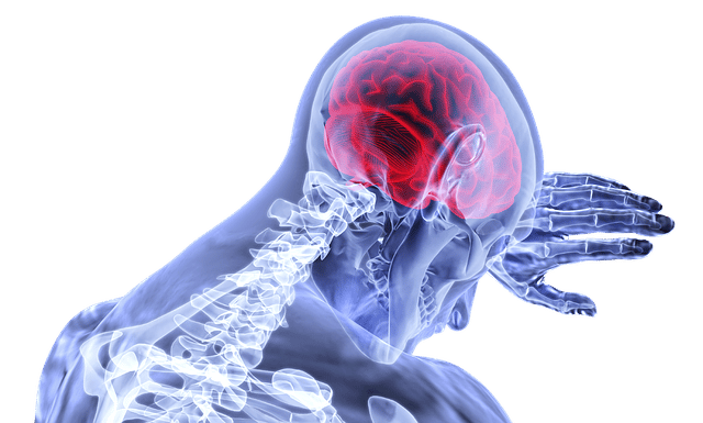 Traumatic Brain Injury in Vapi